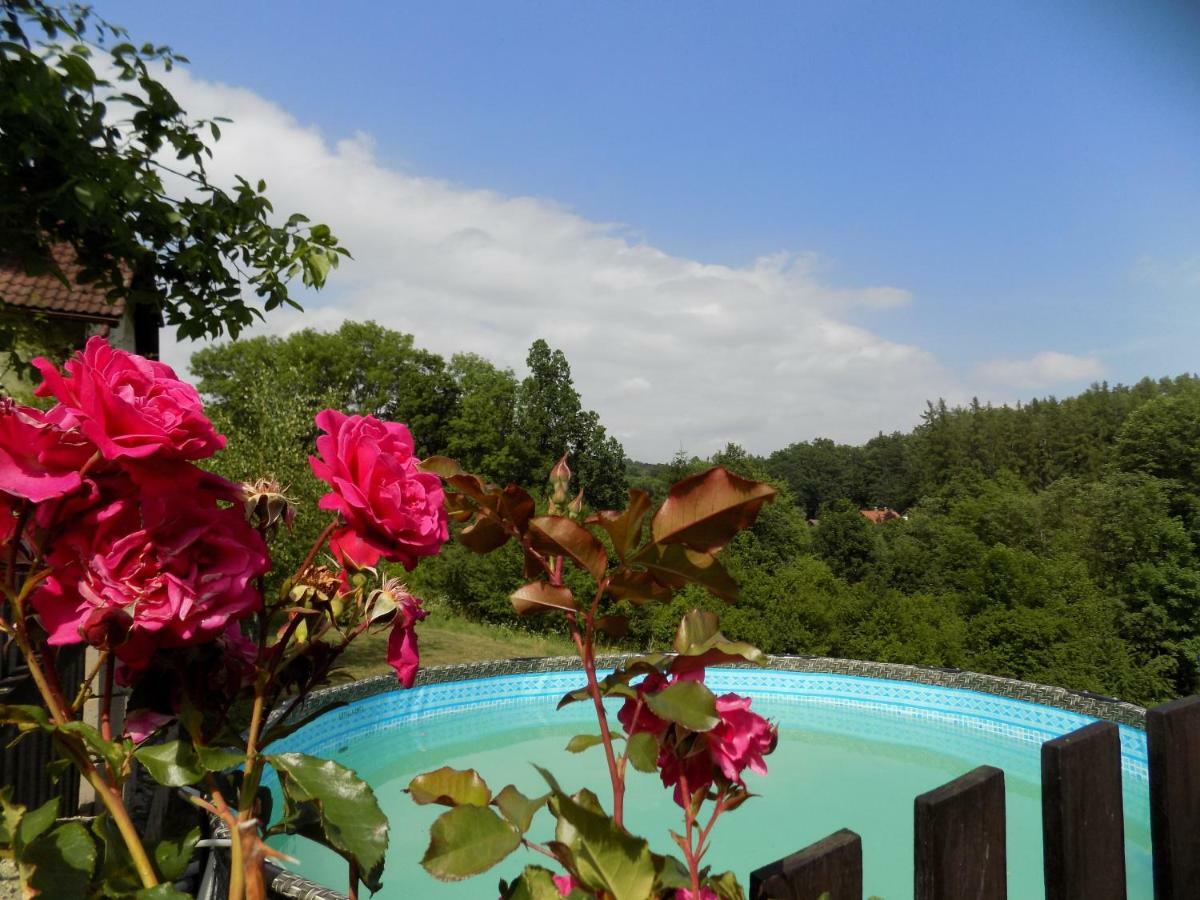 Landhaus Florian Apartment Rovensko pod Troskami Екстериор снимка